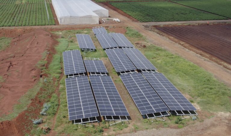 East Africa Solar Reform