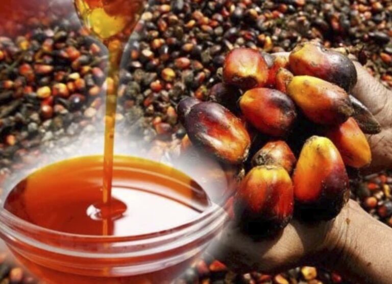 Why Palm Oil Could Help Drive Ghana’s Economic Transformation